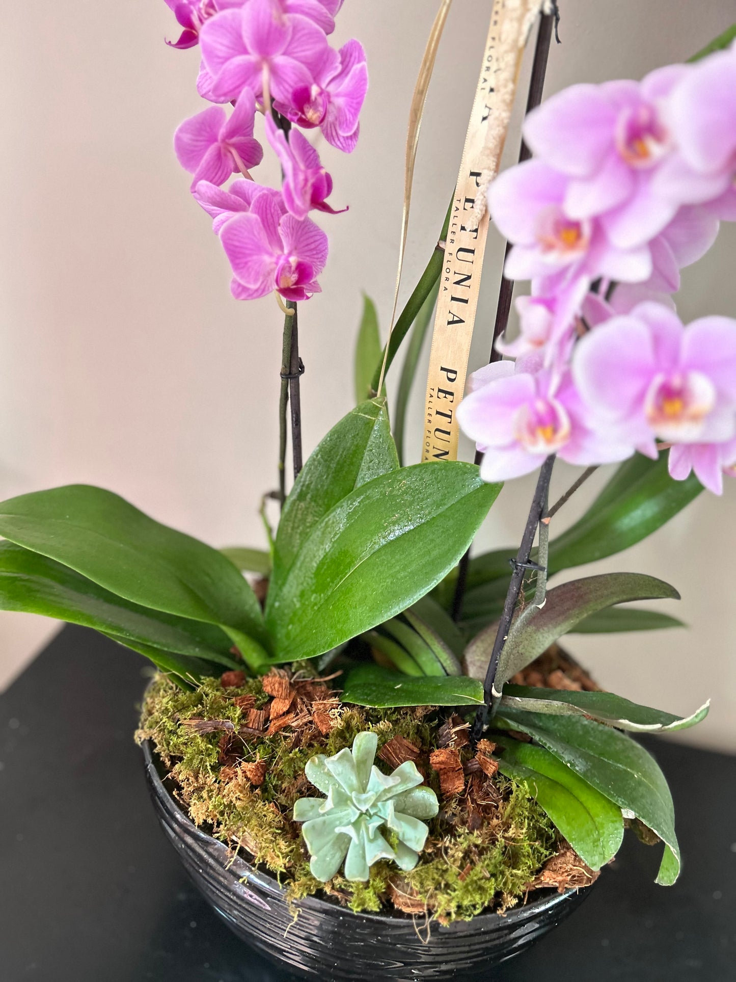 Arreglo Floral de Flores tipo Orquídeas en Xalapa