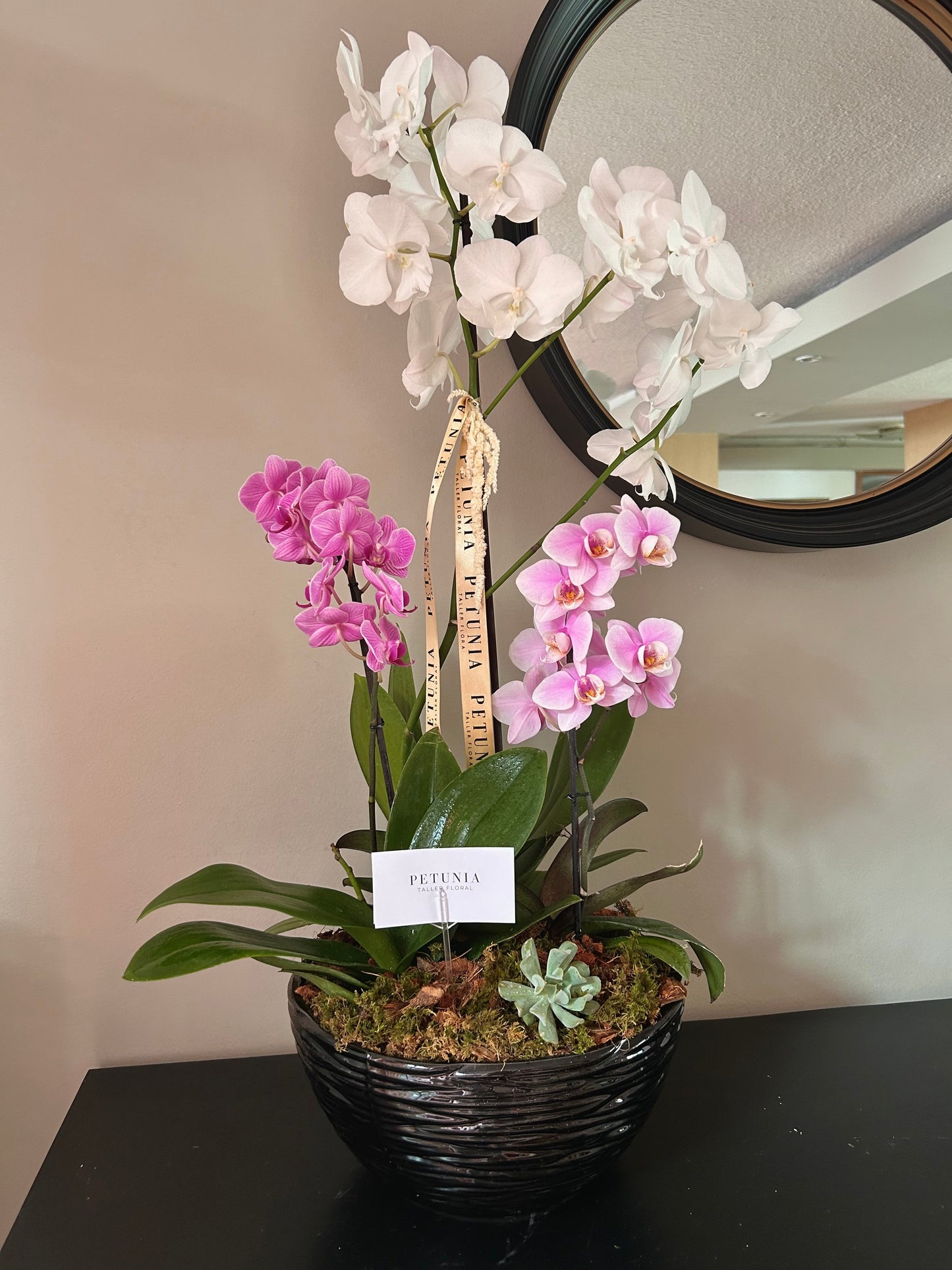 Arreglo Floral de Orquídeas en envase en Xalapa